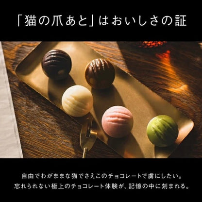 DADACA  CACAOCAT 抹茶5個入り