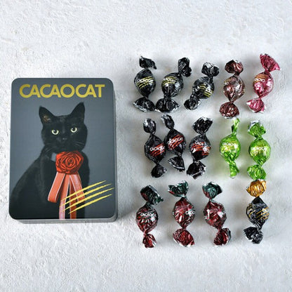 DADACA   CACAOCAT 缶 14 個入 NOIR