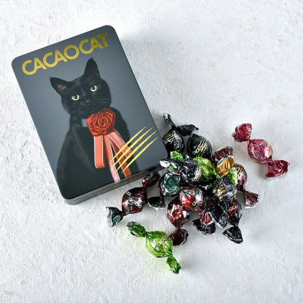 DADACA   CACAOCAT 缶 14 個入 NOIR