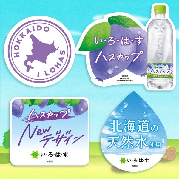 コカ・コーラ   い・ろ・は・す ハスカップ540ML