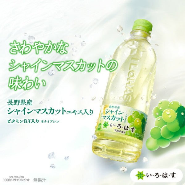 コカ・コーラ  い・ろ・は・す シャインマスカット 540ML