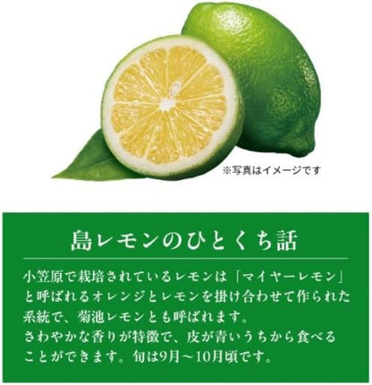 KitKat  ネスレ  キットカット 東京島レモン  10枚