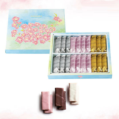 本高砂屋  ショコラエコルセ