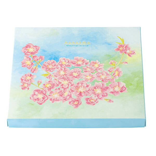 本高砂屋  ショコラエコルセ