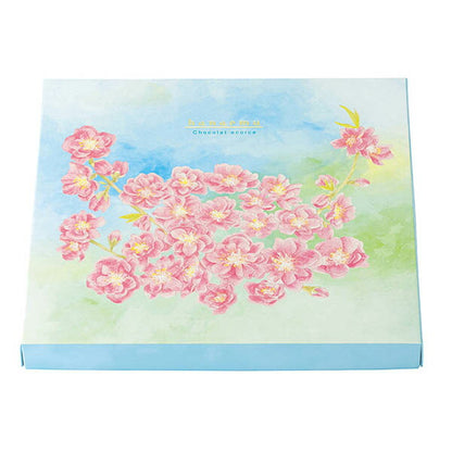 本高砂屋  ショコラエコルセ