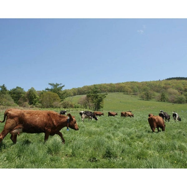 牧家 飲むヨーグルト　ももベリー