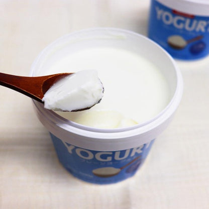 牧家 プレーンヨーグルト500ｇ