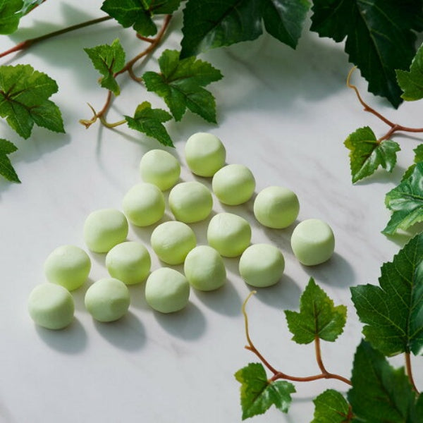 Letao ルタオ レアチョコレートナイアガラ8個入