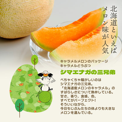 道南食品 北海道メロンキャラメル