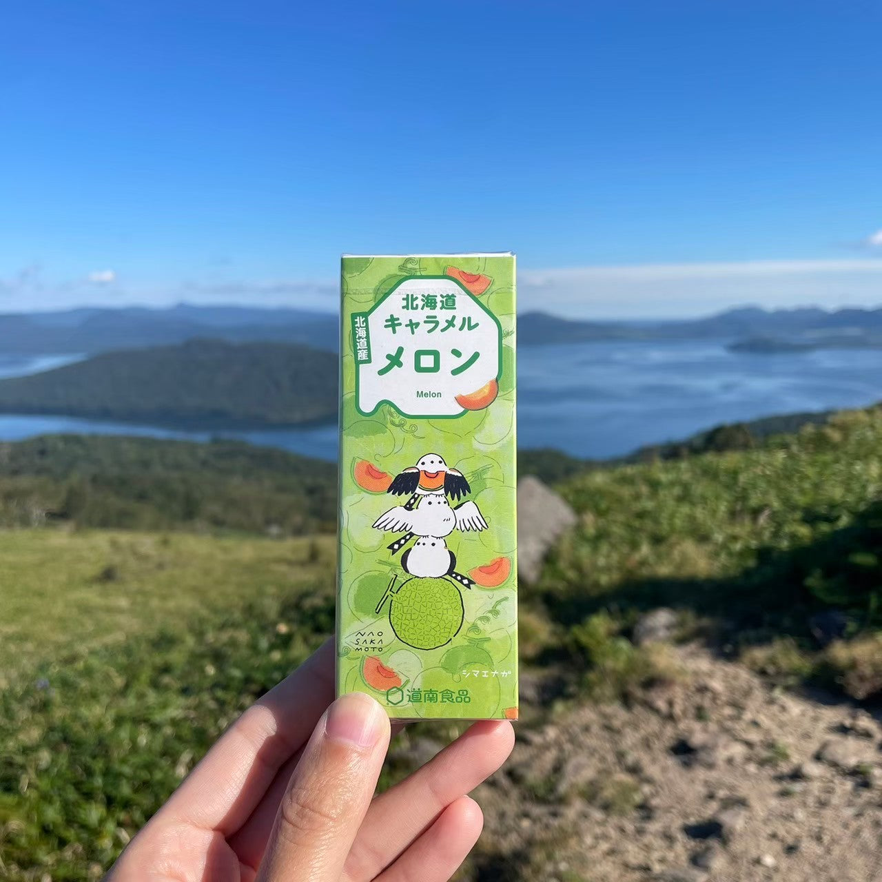 道南食品 北海道メロンキャラメル