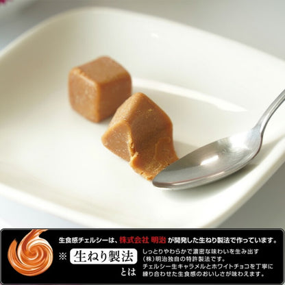 北海道生食感チェルシー 生キャラメルガナッシュ バタースカッチ味