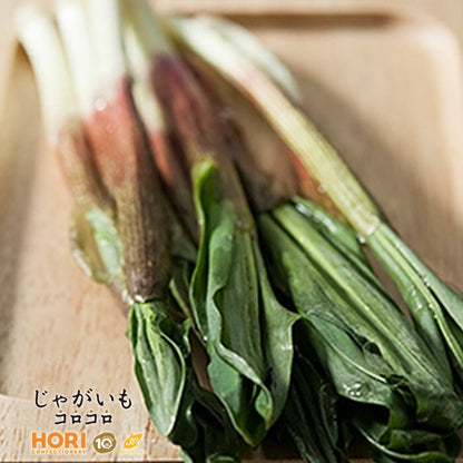 ホリ　じゃがいもコロコロ　行者にんにく