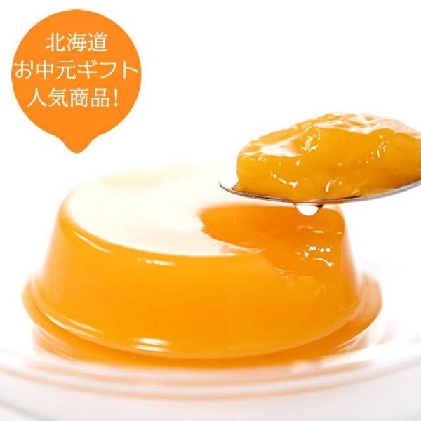 ホリ 夕張メロンピュアゼリー
