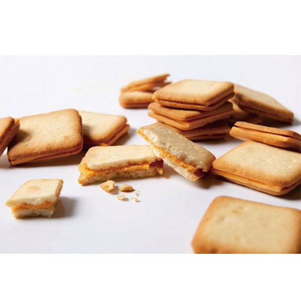 北見鈴木製菓  プレミアム夕張メロンチョコサンドクッキー6枚入