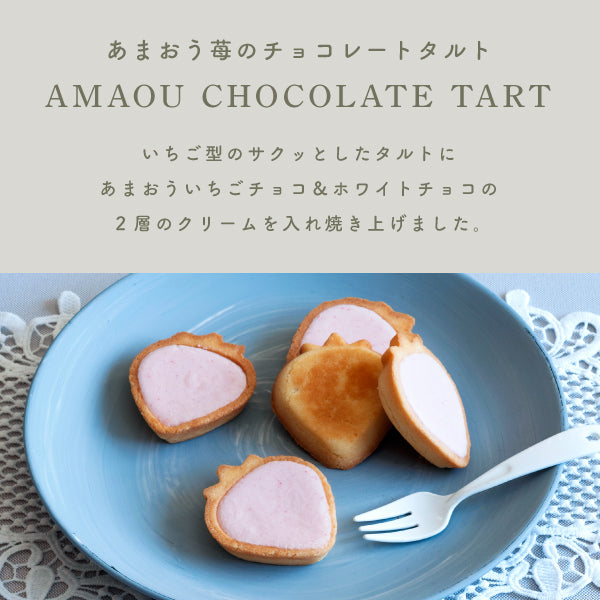 博多風美庵   苺のワルツ チョコタルト