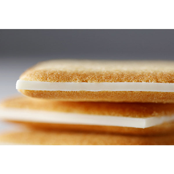 石屋製菓   白い恋人   ホワイト   24枚