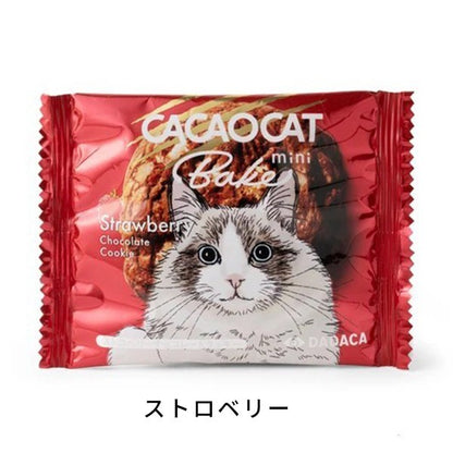 DADACA   CACAOCAT Bake mini ホワイト&ウォルナッツ  ストロベリー  オレンジ  抹茶  ミルク  ダーク  1個（20g）