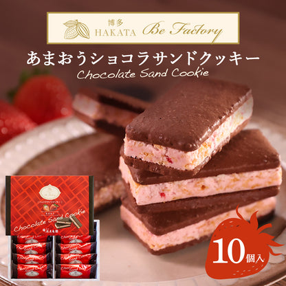 博多風美庵   あまおうショコラサンドクッキー