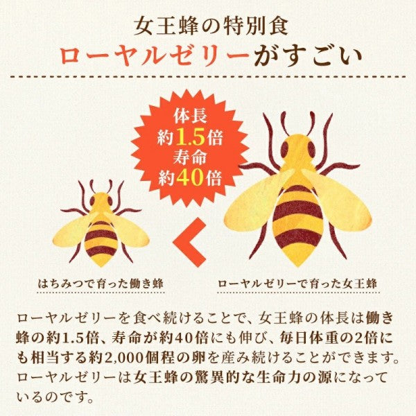 杉養蜂園生ローヤルゼリー入りマヌカ蜜(マヌカハニー) スティックタイプ