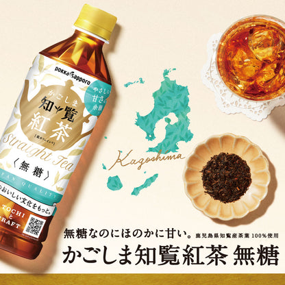 かごしま知覧紅茶無糖（500ml）