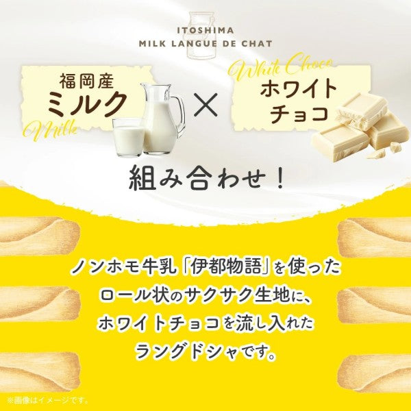 博多風美庵  糸島ミルク巻きラングドシャ