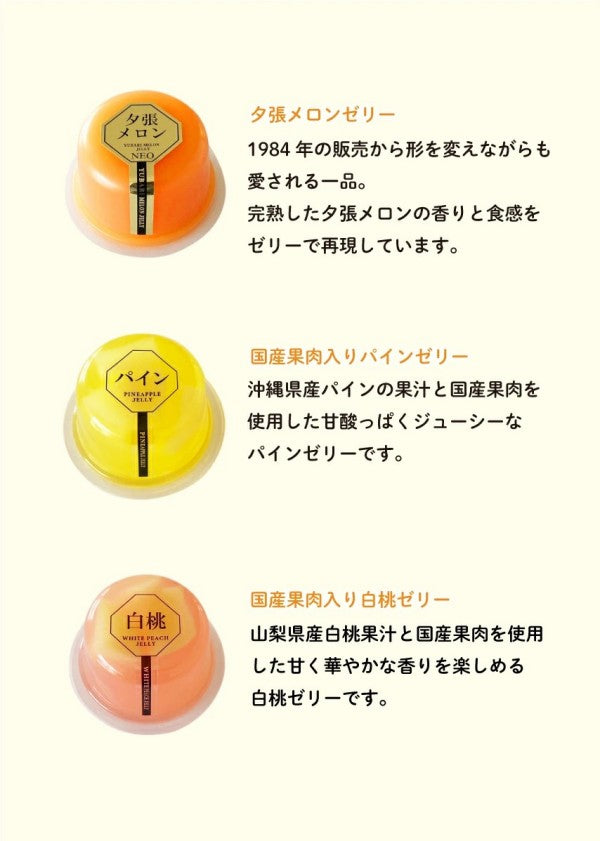北辰フーズ  夕張メロンゼリー＆フルーツゼリーコレクション　11個入り