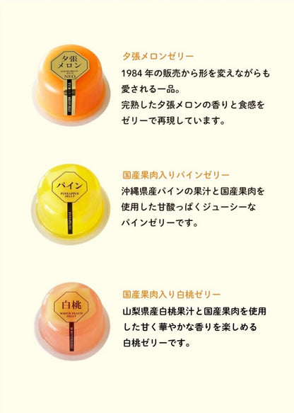 北辰フーズ  夕張メロンゼリー＆フルーツゼリーコレクション　11個入り