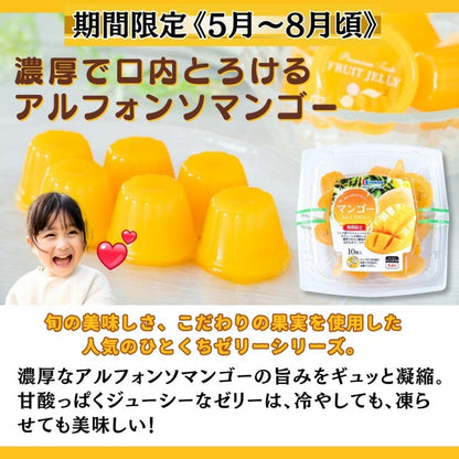 北辰フーズ   マンゴーひとくちゼリー 21g×10個