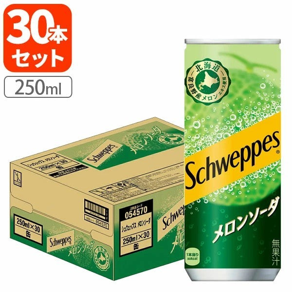 シュウエップスメロンソーダ250ml缶