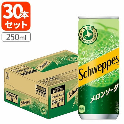 シュウエップスメロンソーダ250ml缶