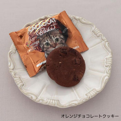 DADACA   CACAOCAT Bake mini ホワイト&ウォルナッツ  ストロベリー  オレンジ  抹茶  ミルク  ダーク  1個（20g）