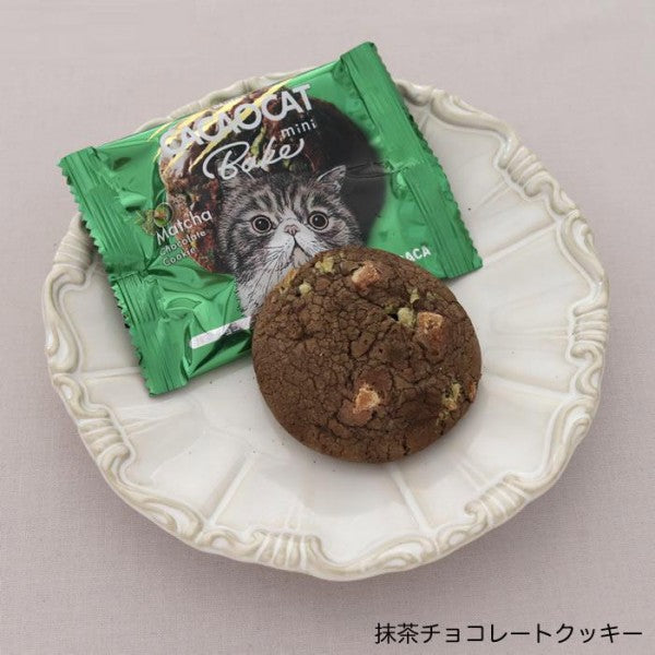 DADACA   CACAOCAT Bake mini ホワイト&ウォルナッツ  ストロベリー  オレンジ  抹茶  ミルク  ダーク  1個（20g）