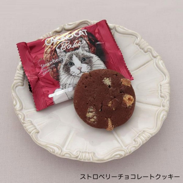DADACA   CACAOCAT Bake mini ホワイト&ウォルナッツ  ストロベリー  オレンジ  抹茶  ミルク  ダーク  1個（20g）