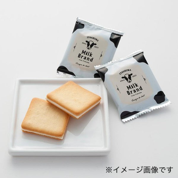 博多風美庵  糸島ミルクブランド ラングドシャ