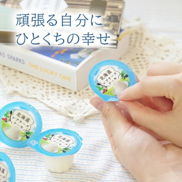 北辰フーズ   北海道レアチーズケーキミニ 21ｇ×8個