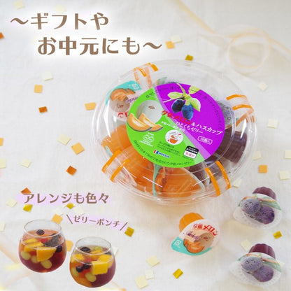 北辰フーズ   夕張メロン＆ハスカップひとくちゼリー  18個入